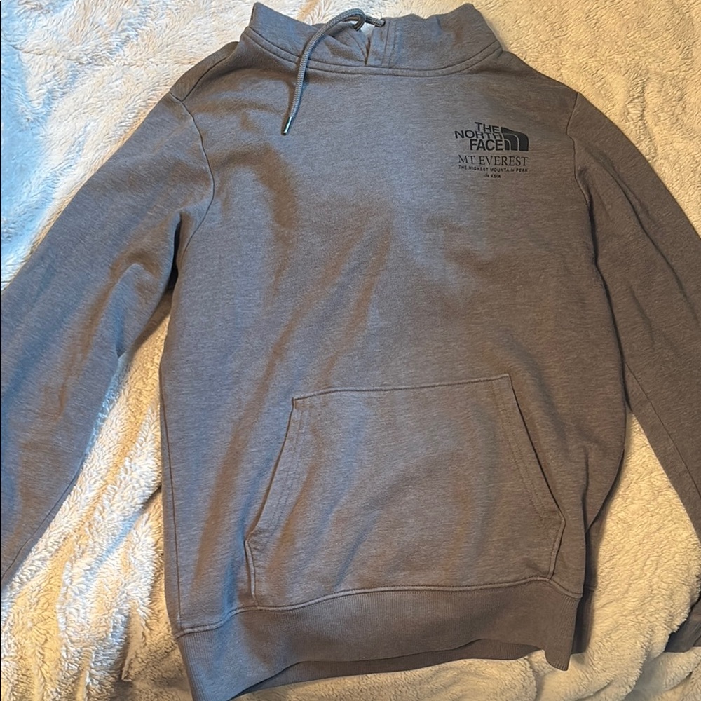 The North Face Gray Sweatshirt Classic Pullover Hoodie